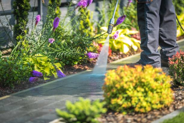 Best Fence Cleaning  in Wolfhurst, OH