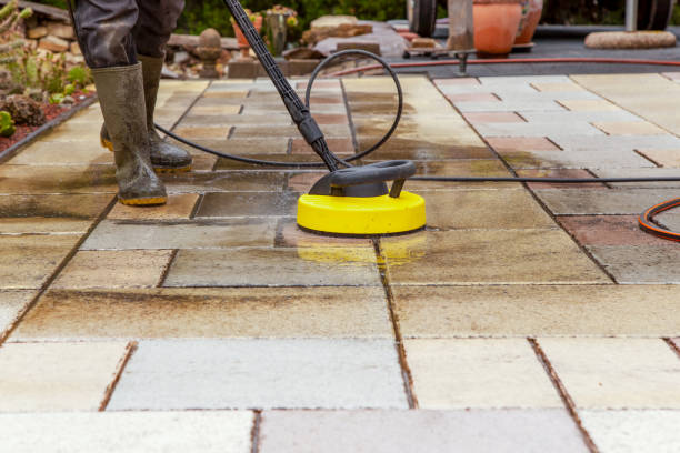 Best Animal Enclosure Cleaning  in Wolfhurst, OH