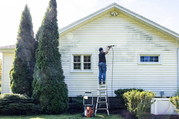 Best Solar Panel Cleaning  in Wolfhurst, OH